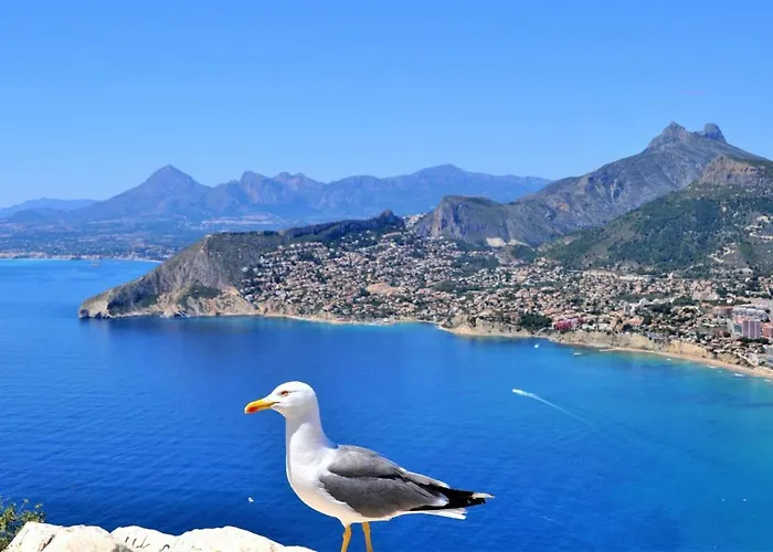 Maryvilla1016 Willa Calpe